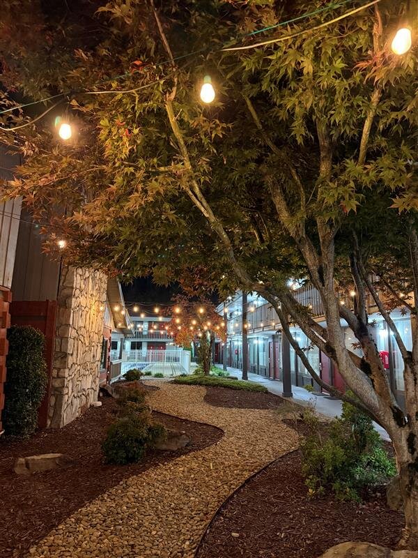 a walkway with trees and lights on it
