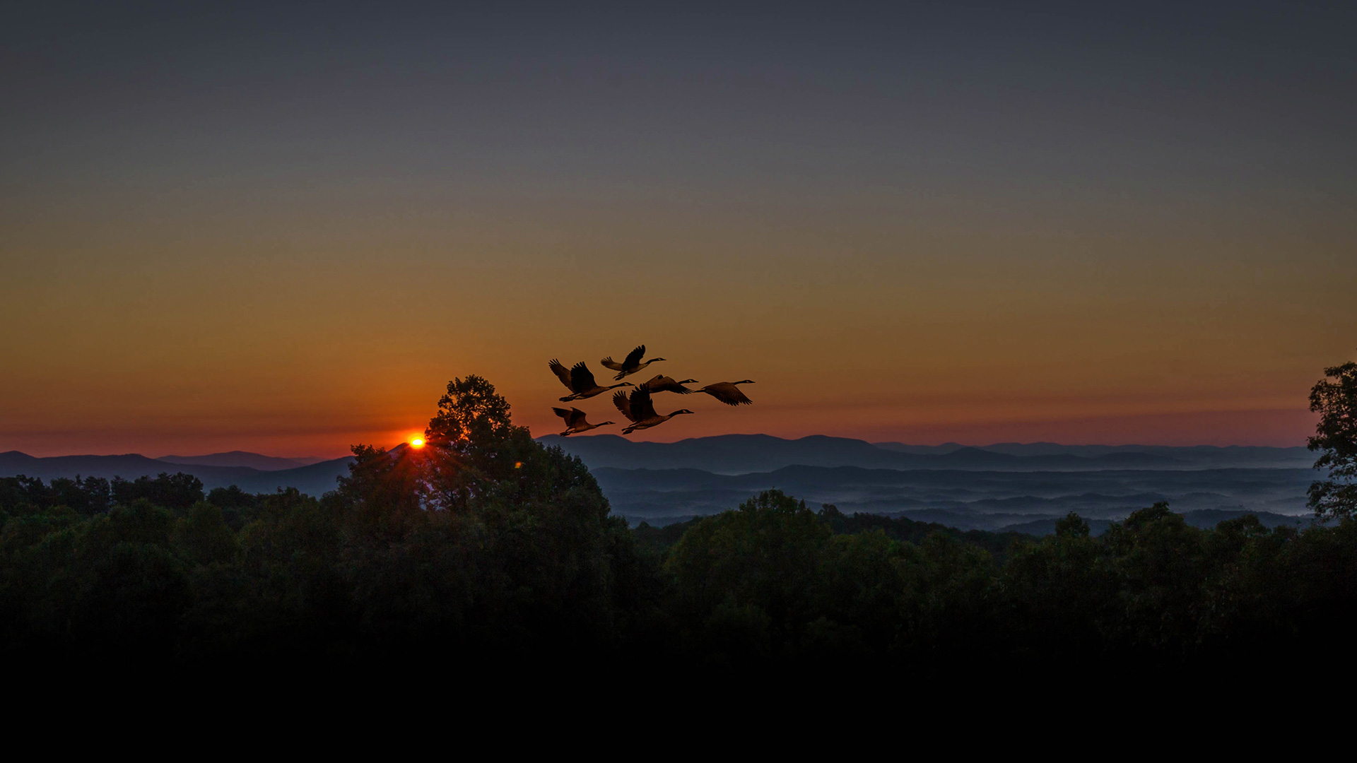 Cherokee, NC Attractions | Great Smokies Inn